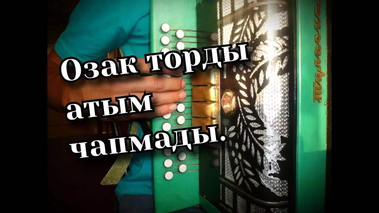Торды атым чапмады. Песня атым чапмады нафкат. озак торды атым чапмады текст песни. озак торды атым чапмады текст на татарском. озак.