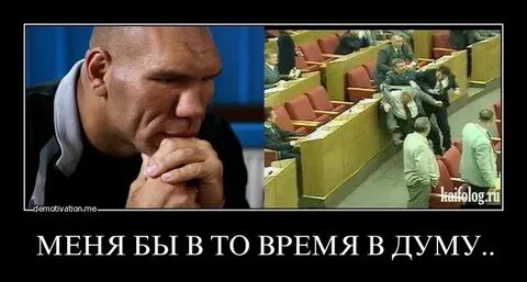 Времена и думы