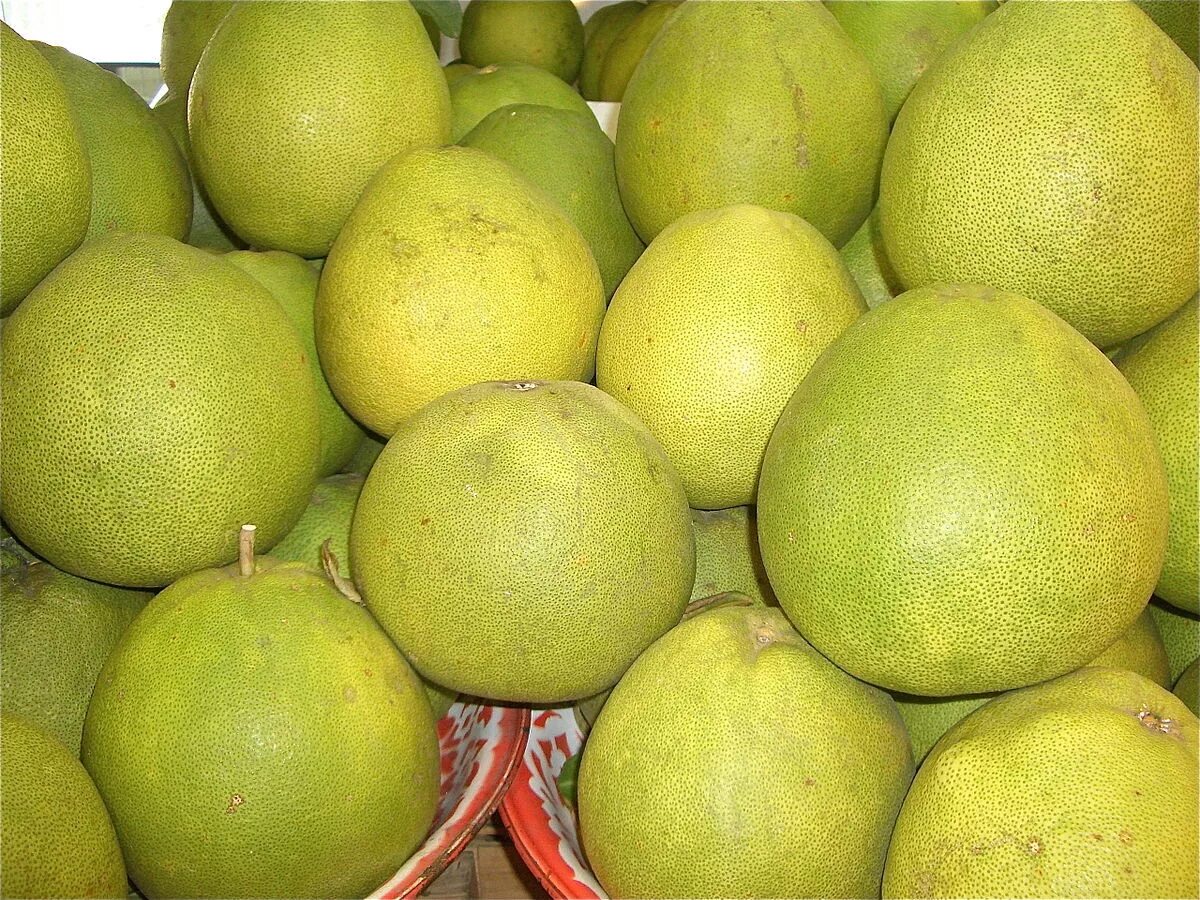 помело фрукт. помело что с чем скрещено. помело что с чем скрещено. помело фрукт. памелла фрукт.