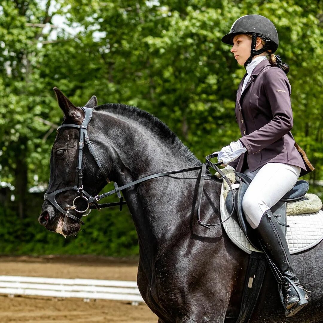 кск вертикаль. секция конный спорт. конный спорт город тейково. сдюшор по конному спорту. берейтор по конкуру.