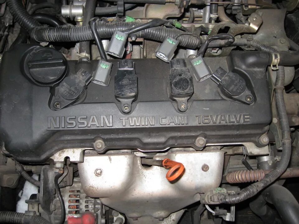 Nissan Almera n16 двигатель. Двигатель Ниссан Альмера н16 1.5. Альмера н16 двигатель 1.5. Qg16 двигатель Альмера Классик. 20 n 16 3