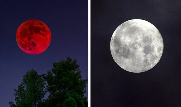 Увидели новую луну. Кровавая Луна 2022. Полнолуние Кровавая Луна. Полнолуние суперлуние, Кровавая Луна. Moon Eclipse 2021.