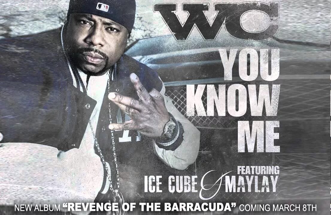 Ice Cube. Ice Cube альбомы. Альбом Ice Cube featuring. Ice Cube обложки альбомов. Ice cube you know