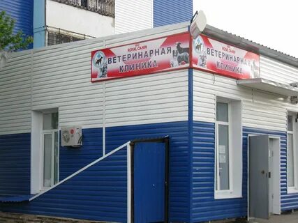 ветклиника виктория волгодонск телефон (80) фото