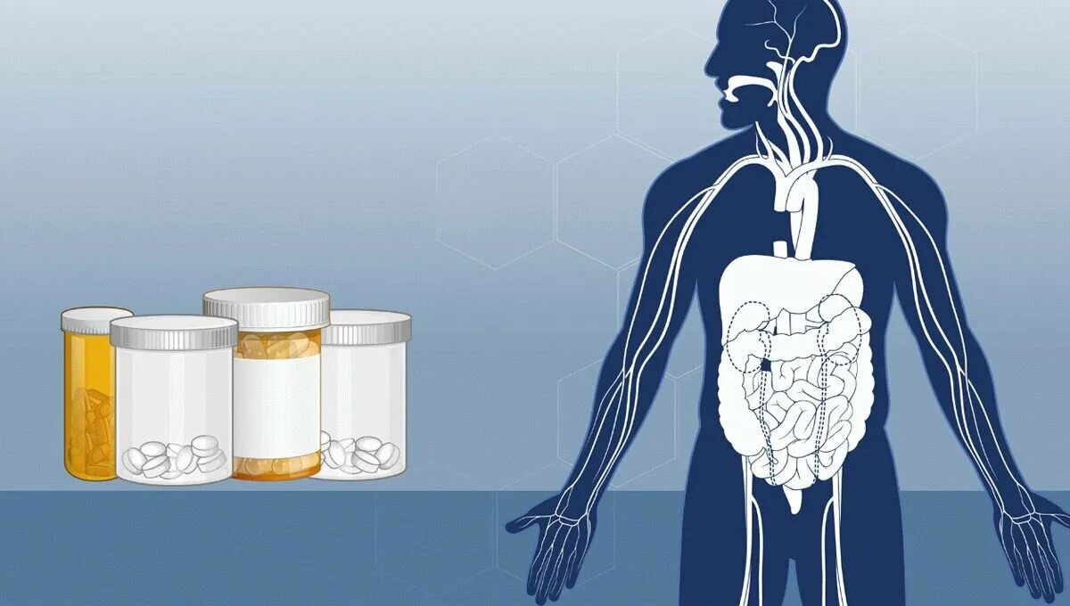 Растворение в организме. Лекарство в организме. Действие лекарств на организм. Эффект лекарственных средств на организме. Таблетки для организма.