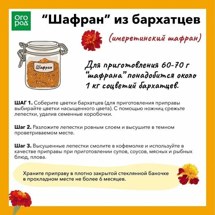 Бархатцы как пить правильно заваривать. Чай из бархатцев рецепт. бархатцы в кулинарии. шафран из бархатцев. сбор из бархатцев в аптеке.