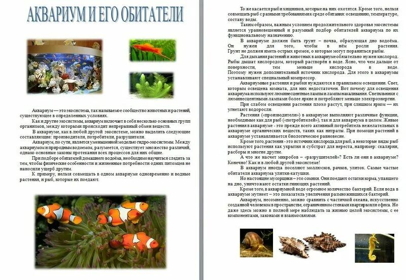 Аквариум и его обитатели проект 2 класс Аквариум и его обитатели