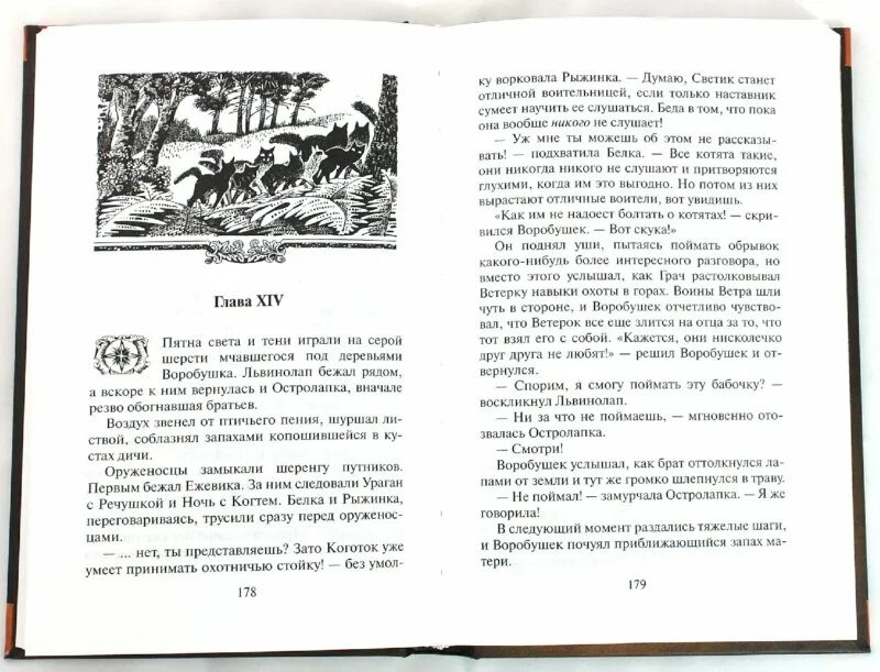 Читать книгу отверженный 7