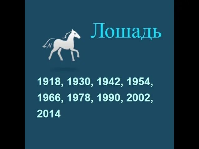Лошадь по году рождения. Лошадь знак зодиака. Год лошади года рождения. Года рождения лошади по гороскопу. Лошадь знак зодиака года