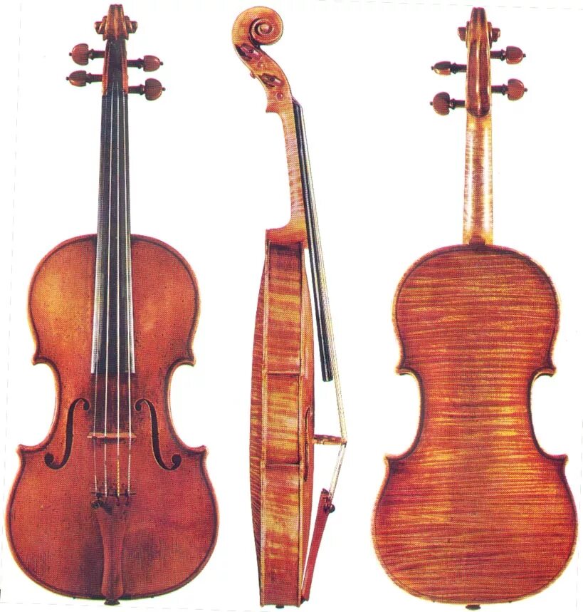 известные скрипки