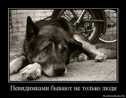 Подожди помоги