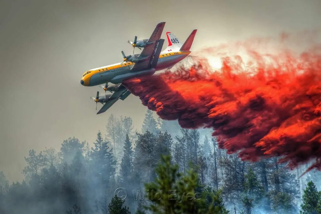 В каком году появились пожарные самолеты. Пожарный самолет. Российские пожарные самолеты. Пожарная Авиация современная.