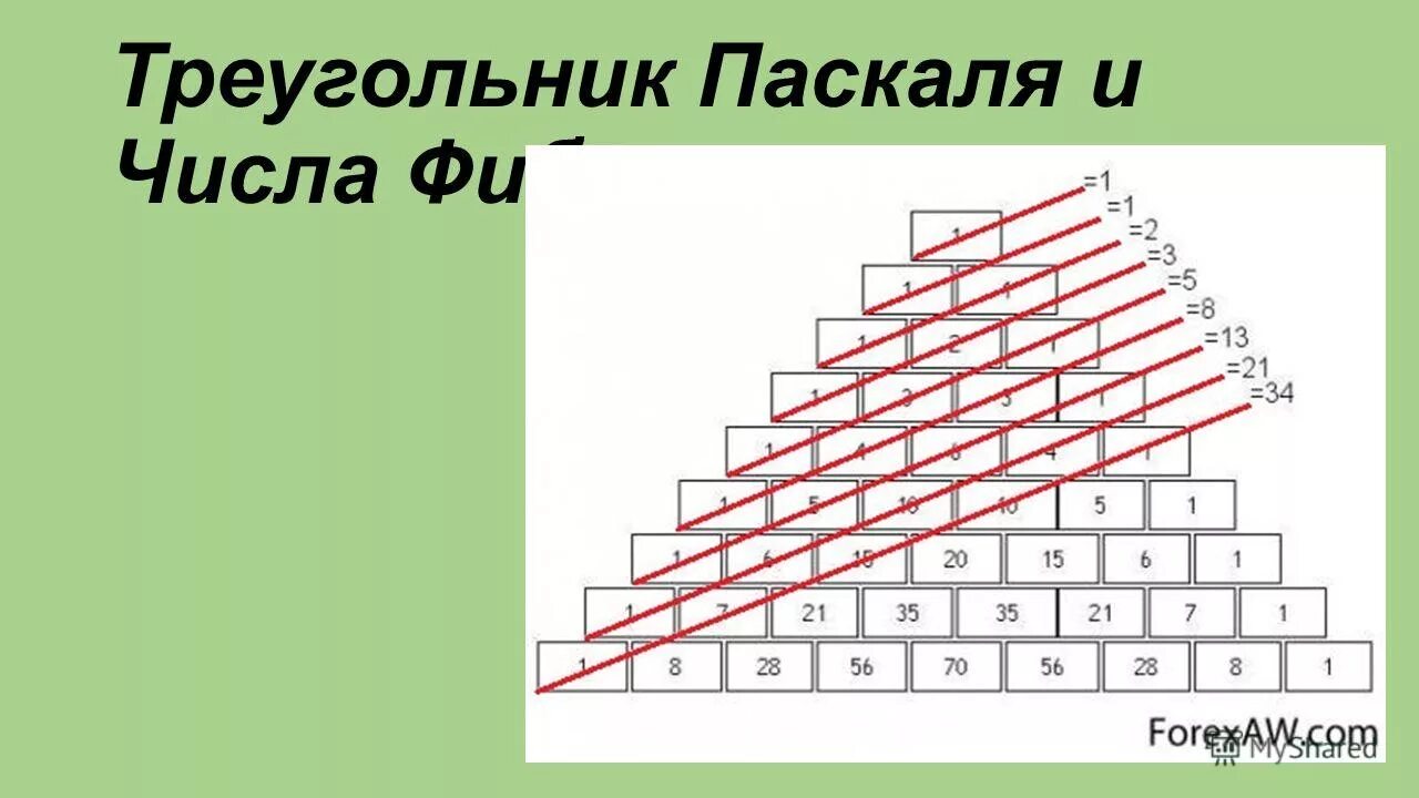 Число паскаля. Нецелые числа в паскале. Целый тип данных в паскаль. Связь чисел фибоначчи и треугольника паскаля. Числа real в паскале.