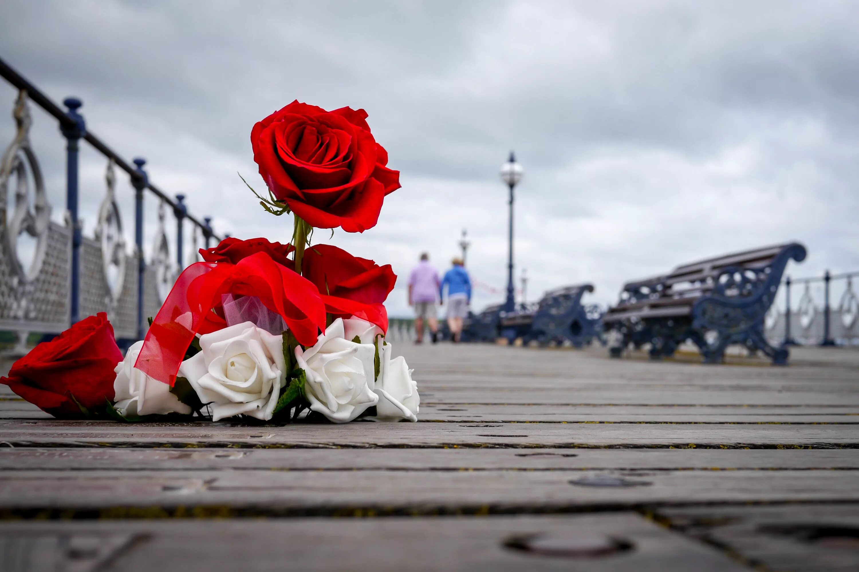 Лепестки роз на дороге. Цветы и небо. Road rose. Цветы вдоль дороги. Грустные фото.