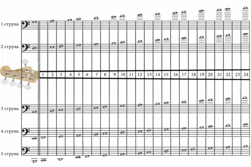 Таблица струны нот. Расположение нот на грифе 5 струнной бас гитары. Расположение нот на грифе бас гитары 4 струны. Расположение нот на грифе бас гитары 5 струн. Ноты на грифе 5 струнной бас гитары.