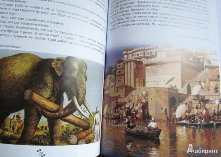Весёлая история про слона 3 класс по литературе. Житков слон краткое содержание. С. Б. С.