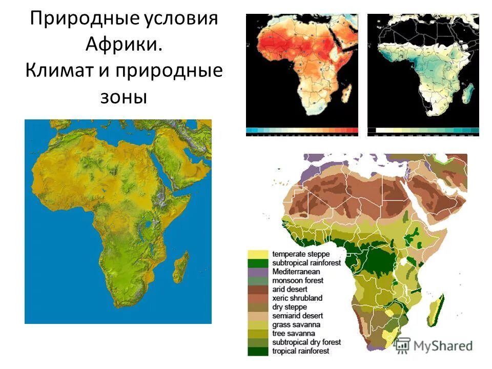 Условия тропической африки