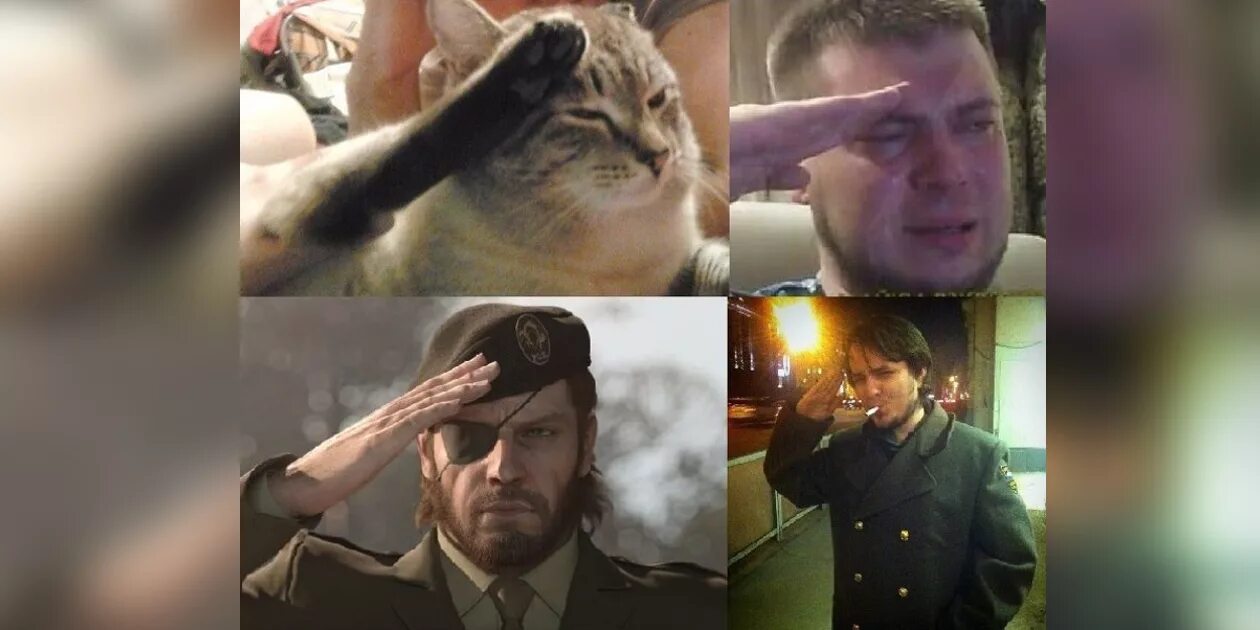 F to pay respect коллаж. Press f to pay respect кот. Press f to respect Мем. Кот отдает честь.