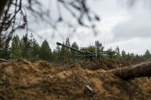 Луга полигон