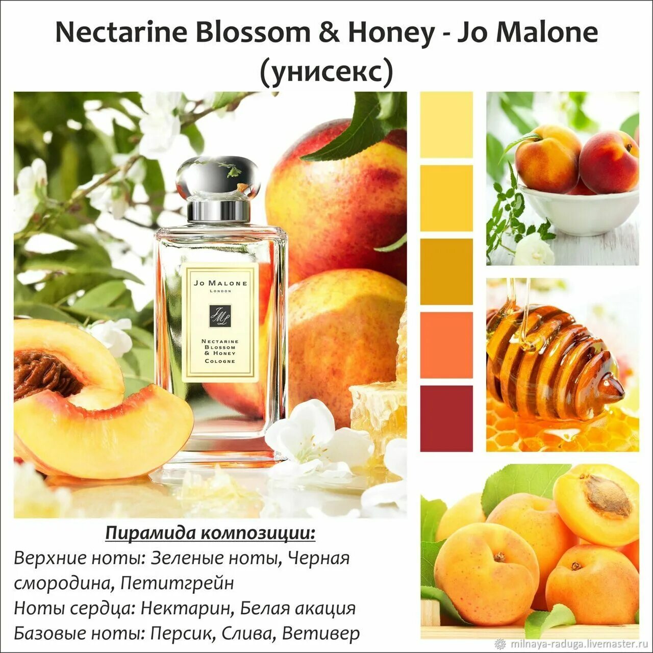 Nectarine blossom honey. Nectarine Blossom Honey Cologne. Джо Малон нектарин. Джо Малон нектарин и мед. Джо Малон блоссом Хоней.