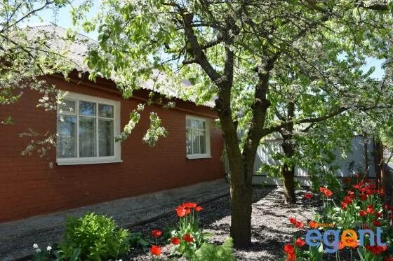 Пансионат ромашка таганрог. Лагерь золотая коса ростовская область. Дом золотая коса. Дом золотая коса. Дом золотая коса.