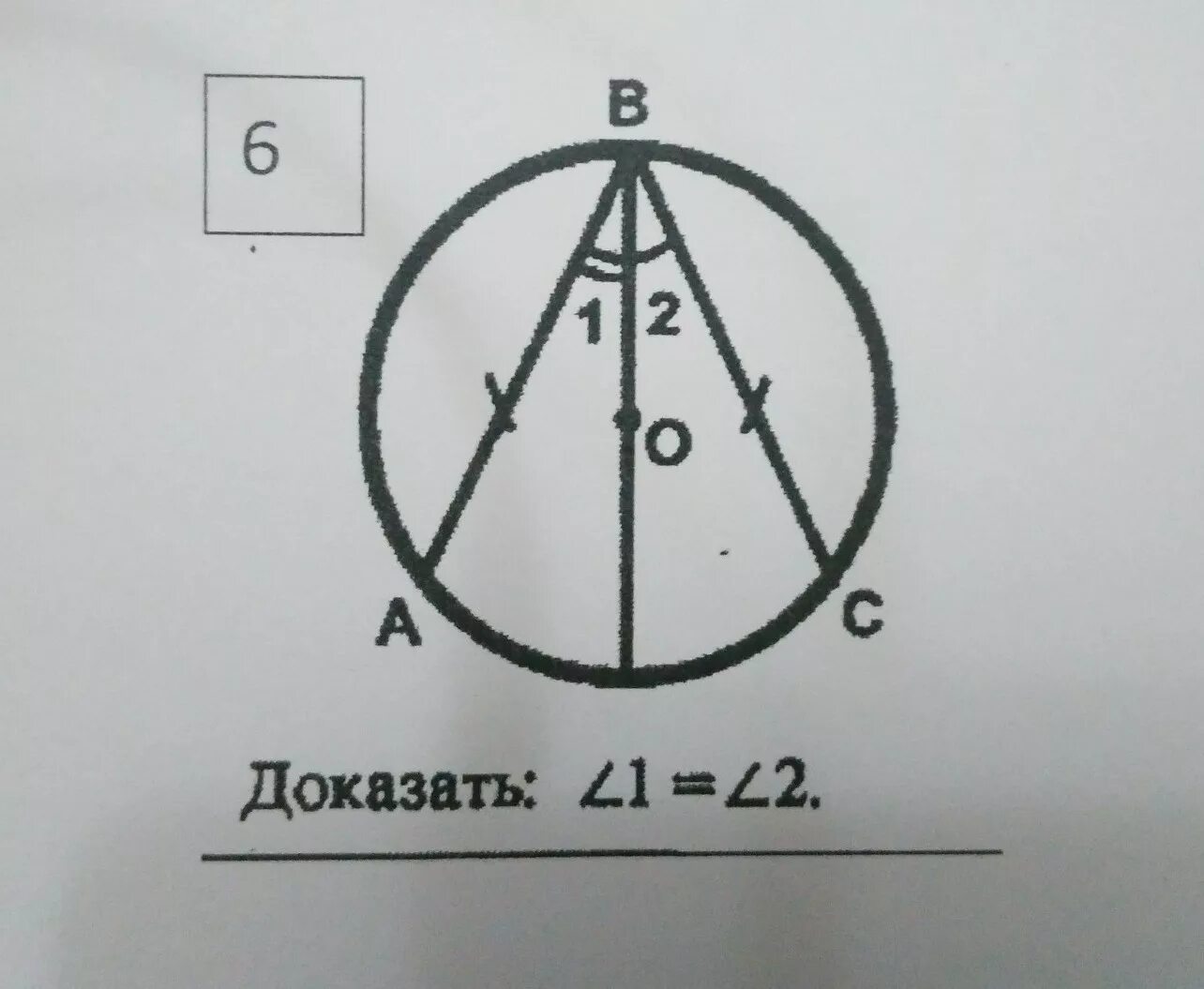 Доказать угол 1 угол 2 окружность. Доказать угол1=угол2. Докажите что угол 1 равен углу 2. Угол 1 угол2 доказательство. Доказать что угол 1 равен углу 2.