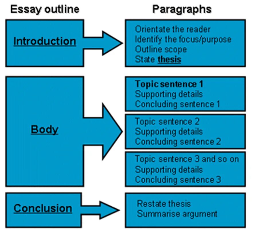 Reason paragraph. Essay structure. The essays. Essay in English structure. Эссе английский main body.