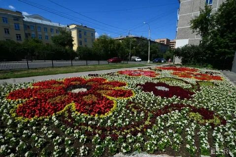 Цветники новосибирск