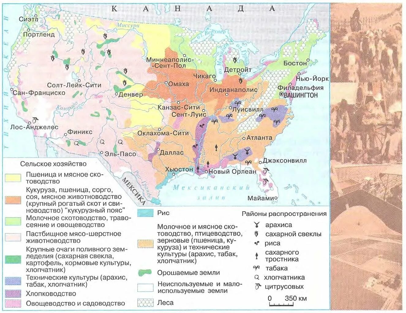 Сельское хозяйство США кукурузный пояс. Сельское хозяйство США карта. Основные районы сельскохозяйственной специализации США. Сельскохозяйственные пояса США на карте. Главные сельскохозяйственные районы сша