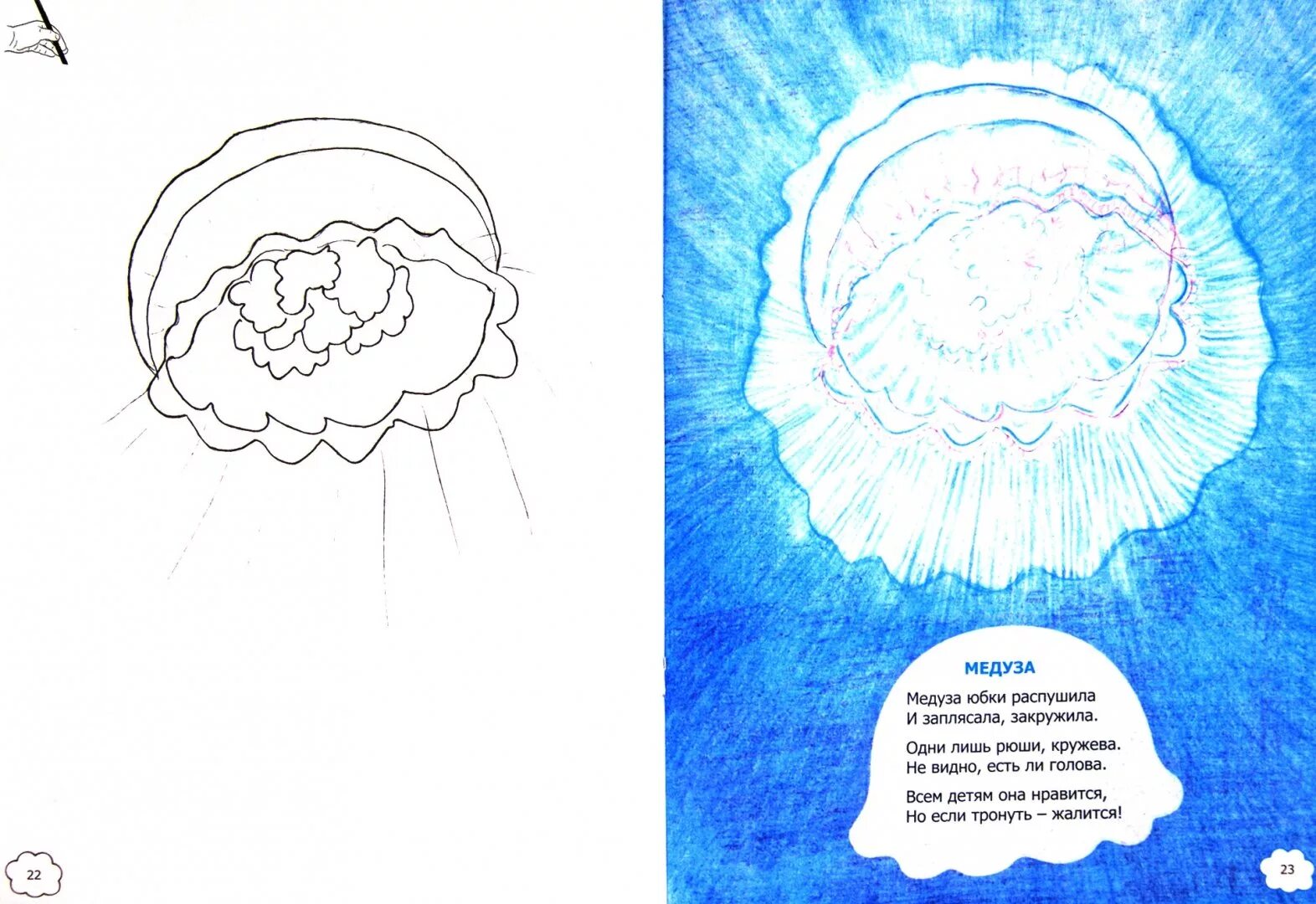 Загадка про медузу. Загадка про медузу. Доклад о медузах. Загадка про медузу для дошкольников. Загадки медуза.