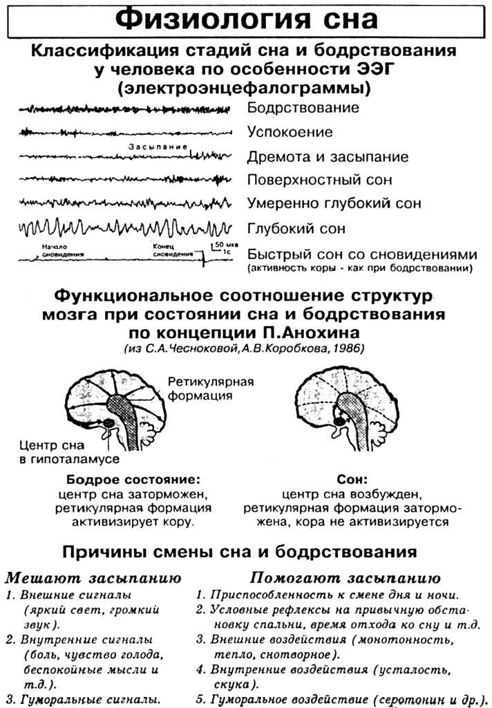 Фазы и стадии сна физиология. Фазы сна физиология. Фазы физиологического сна. Фазы и стадии сна физиология. Фазы сна физиология.