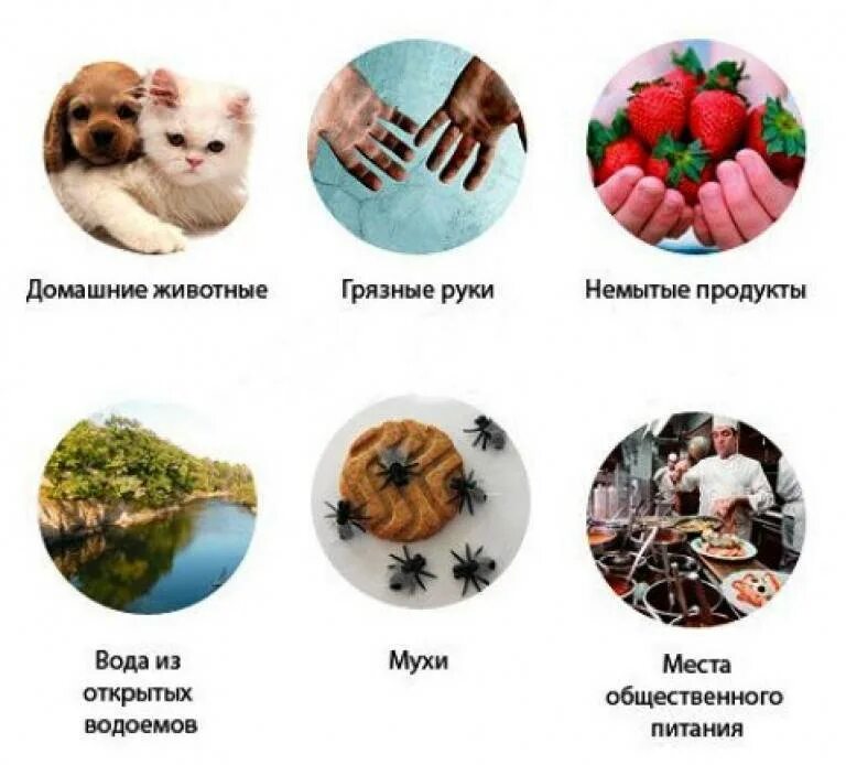 Как человек заражается паразитами. Способы заражения червями паразитами. способы заражения паразитическими червями. источники заражения человека паразитами. источники заражения глистами.