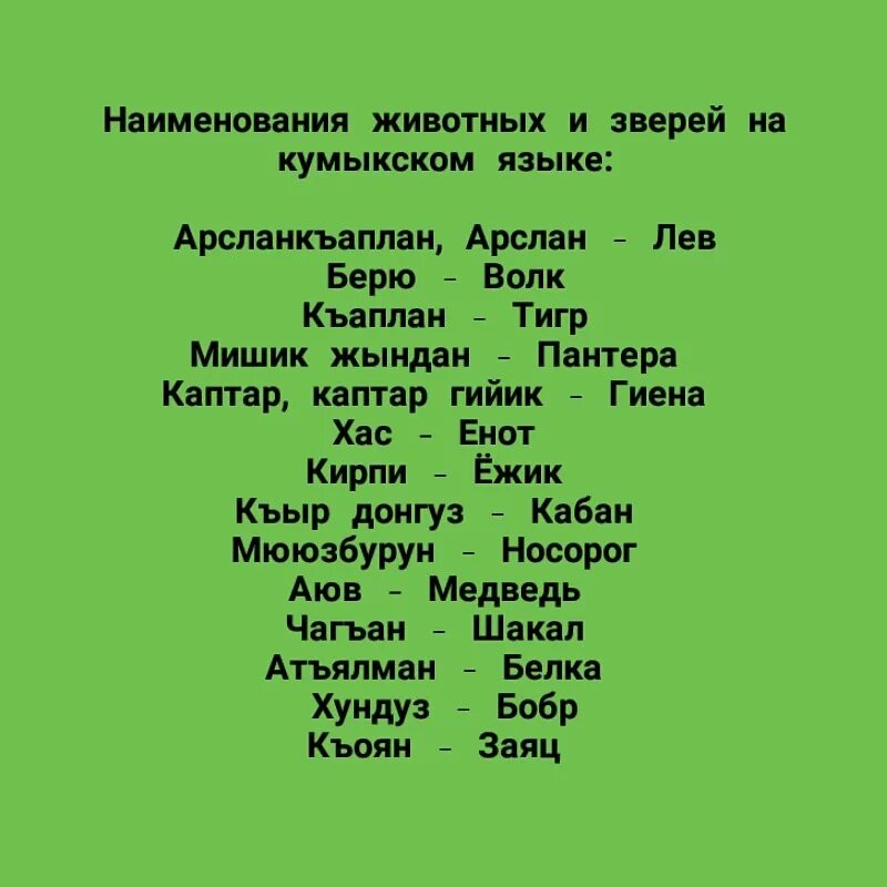 Как переводится с аварского. Имена животных на кумыкском. Наименования животных на кумыкском языке. Название дней недели на кумыкском языке. Кумыкский язык.