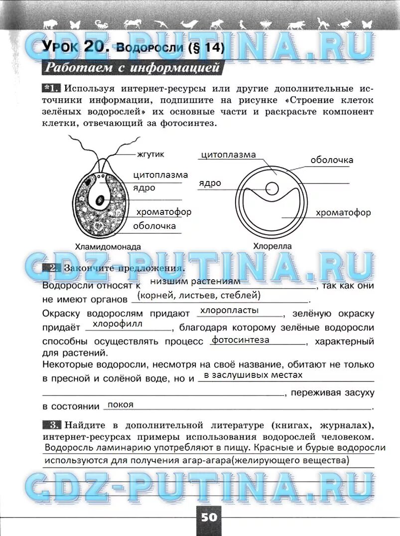 Контрольная по биологии 14 параграф. Урок 20 биология 5 класс. Водоросли рабочая тетрадь. Водоросли 5 класс биология рабочая тетрадь. Водоросли 5 класс биология Пасечник.