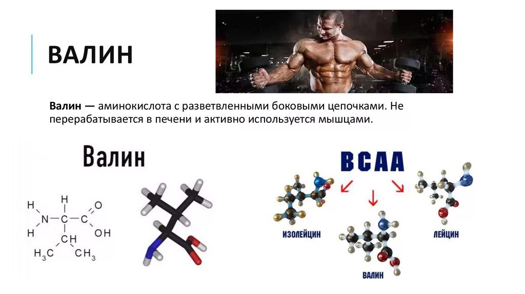Валин для чего. Валин аминокислота формула. валин структурная формула аминокислота. разветвленные аминокислоты. валин лейцин изолейцин.
