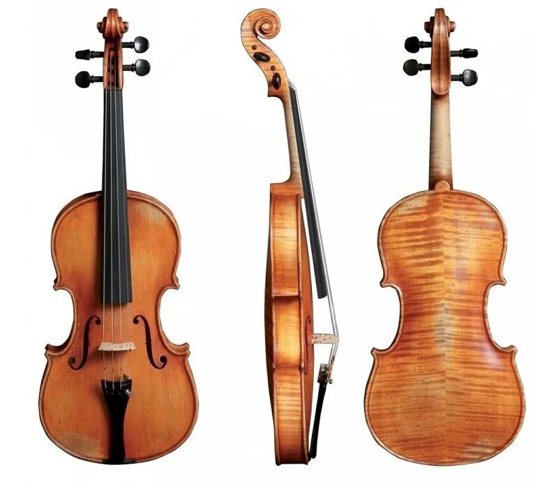 Продам скрипку 4 4. Gewa Violin ideale-vl2 скрипка 4/4. Gewa Violin Germania 11 4/4. Скрипка Gewa Concert Violin Georg Walther. Gewa Violin Allegro-vl1 3/4.