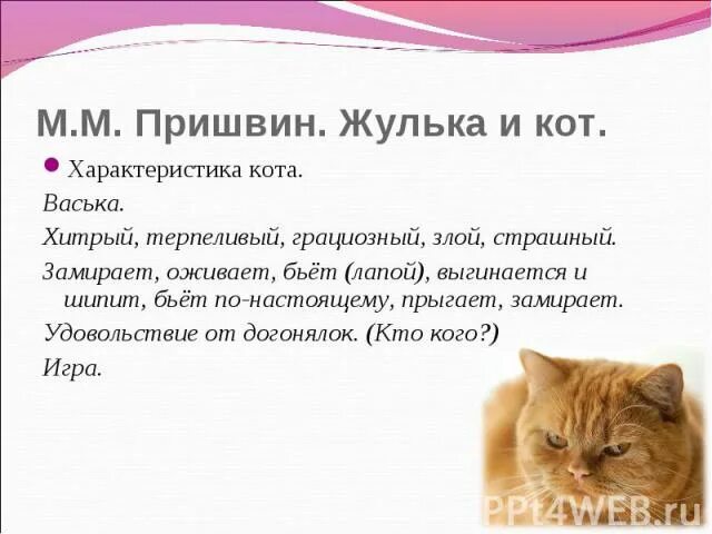 Пришвин кот. Жулька и кот. пришвин жулька и кот. рассказ жулька и кот. план к рассказу жулька и кот.