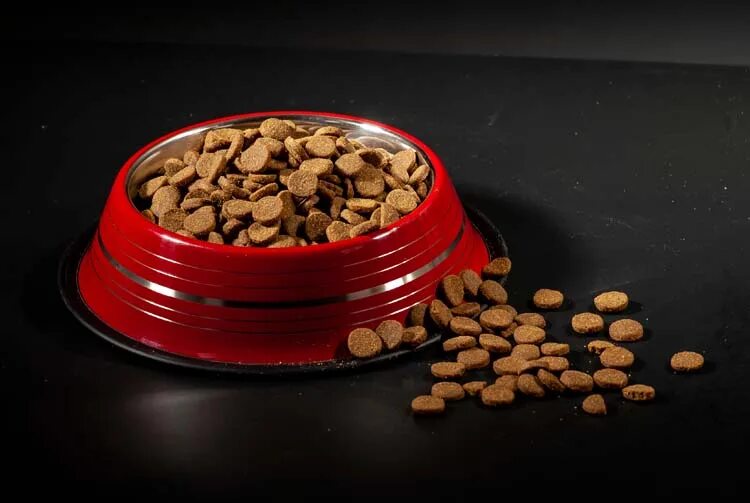 Корм для собак канада холистик бреаль. Шрот подсолнечный и соевый. Что такое корма. Корма класса холистик. Сельскохозяйственные корма.