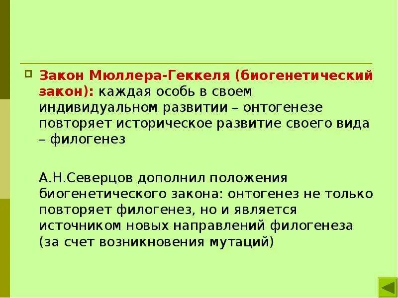 Приведите формулировку биогенетического закона кто является автором