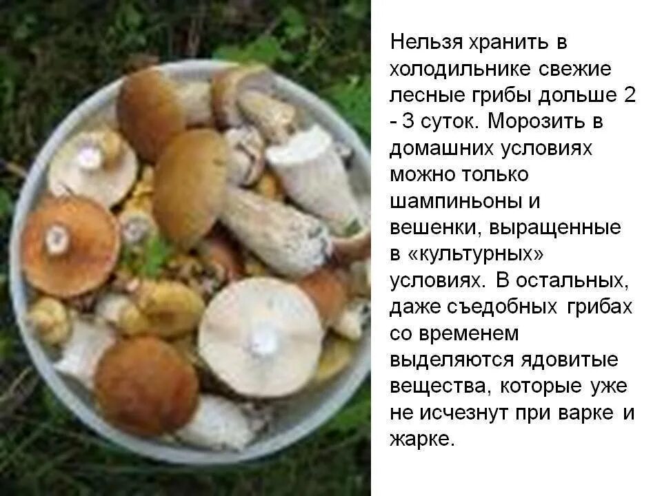 Сколько держат грибы
