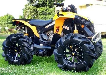Brp renegade 1000