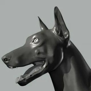 Dog 3d model