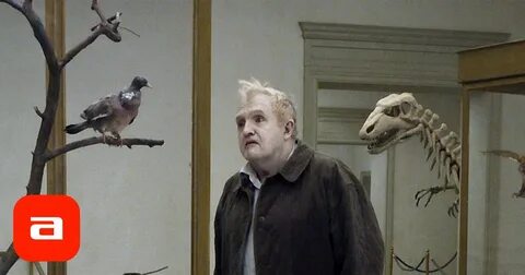 Режиссер голубь