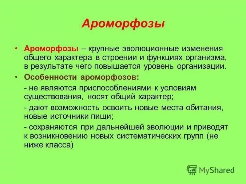 Ароморфоз крупные изменения в строении