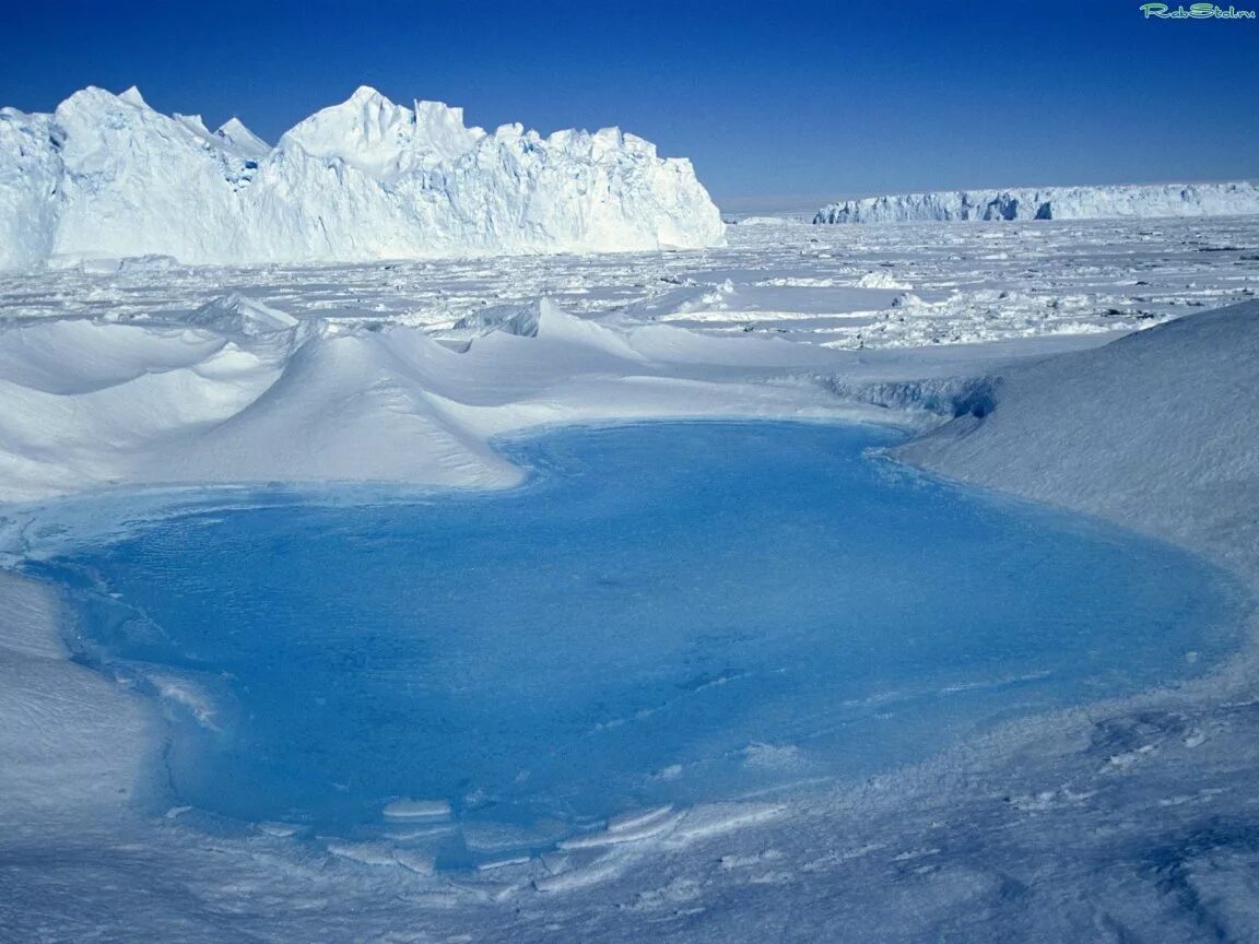 текст антарктика южная полярная область земли. арктика и антарктика на карте. исследование антарктиды презентация. географическое положение антарктиды. вывод по антарктиде.