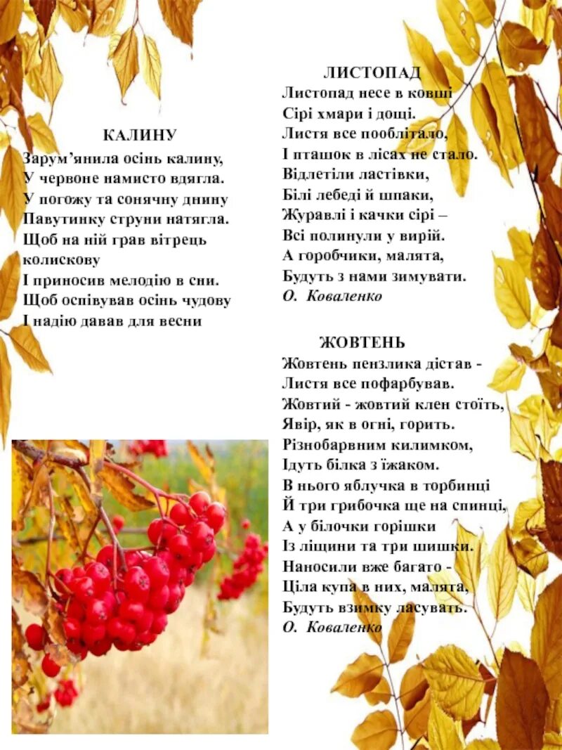 Закончится листопад. Листопад у лип заканчивается. когда заканчивается листопад у калины. когда заканчивается листопад у рябины. когда заканчивается листопад у липы.