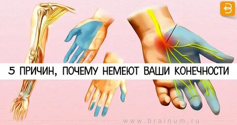 Ночью немеют руки до локтя причины