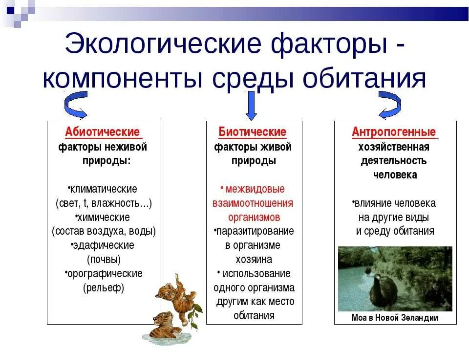 Приведите примеры изменений условий среды. Абиотические факторы среды обитания. Факторы среды обитания биотические абиотические. Абиотические и биотические факторы таблица. Факторы среды обитания примеры.