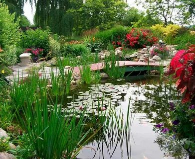 Very garden