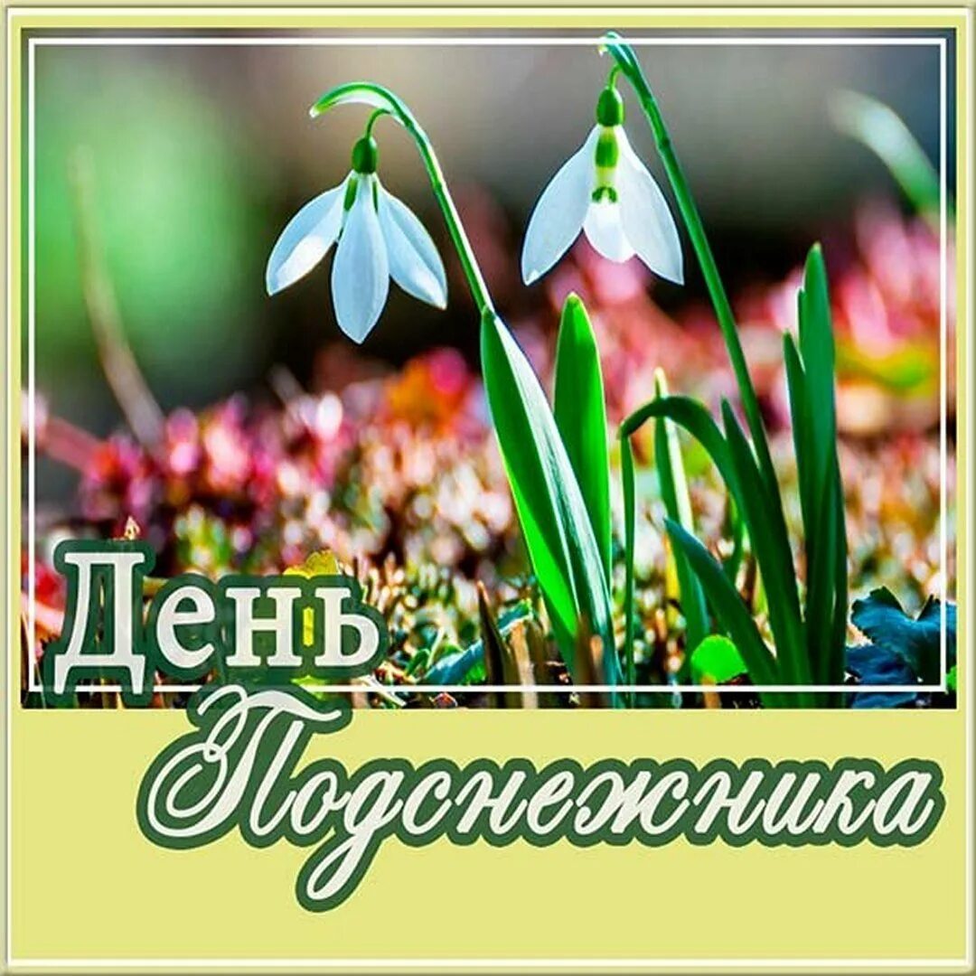 Пост про 19 апреля. День подснежника. весенние открытки. с днем подснежника открытки. 19 апреля день подснежника.